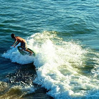 海洋,冲浪,滑水,鸟类,婚纱写真,冲浪