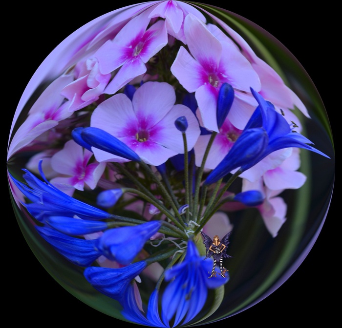 花球