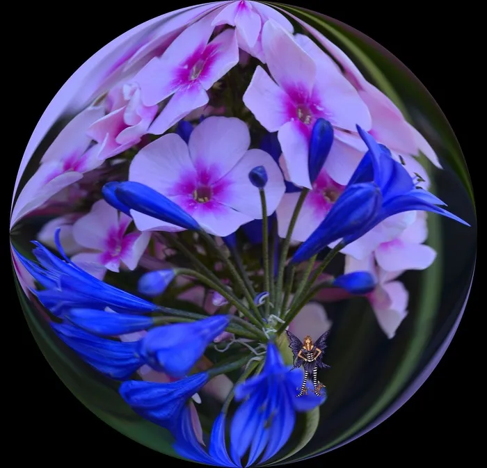 花球