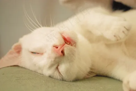 累的妈妈 累的妈妈