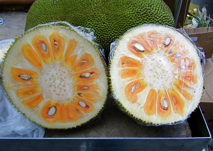 植物,屏幕截图,拖鞋,包,蛋糕,纽约唐人街杰克弗鲁特