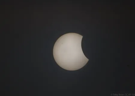 月偏食,手指,模糊图片,鸡蛋,腿,蒙德·科姆特