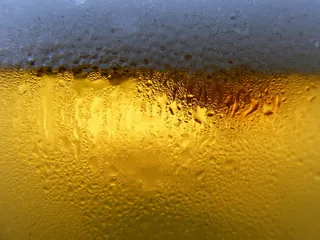 天空,背景图画,花纹纸,麦田,羊皮纸背景,天气好的时候