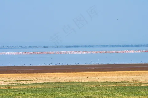 Manyara_lake-1598