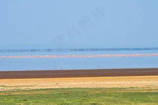 Manyara_lake-1598