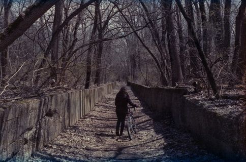 冰雪,树,枯枝,湖泊,钢笔画,迅速的