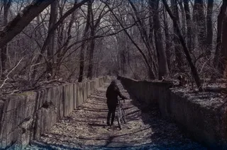 冰雪,树,枯枝,湖泊,钢笔画,迅速的