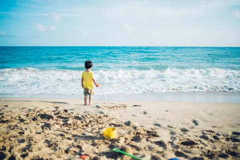 夏季 夏季