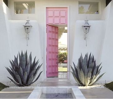 室内一角,龙舌兰,玄关效果图,盆栽植物,装修效果图,粉红色的门