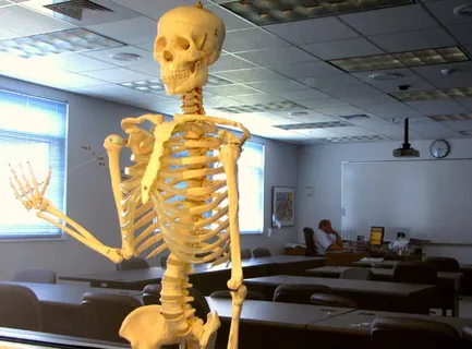 人体骨骼,兵马俑,雕像,跪射俑,历史遗迹 人体骨骼,兵马俑,雕像,跪射俑,历史遗迹