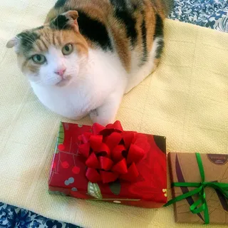 为了我? 为了我?