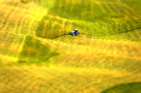 农夫的游乐场 农夫的游乐场