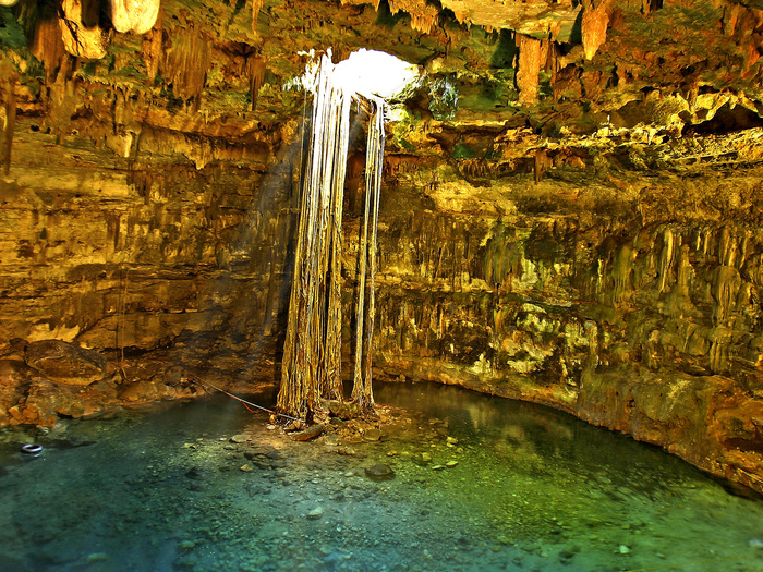 洞穴溶洞,生态林,瀑布,油画,枫树,告示