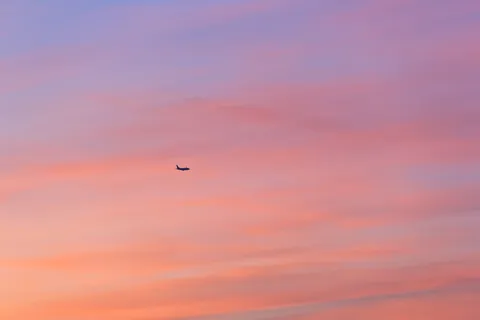 IMG_2691 IMG_2691