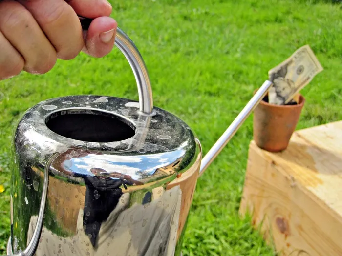 洒水壶,紫砂陶器,水壶,陶缸,杯子,金钱植物