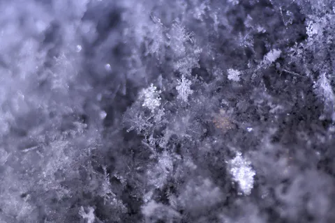 片状 片状