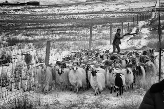 L1009108头朝上移