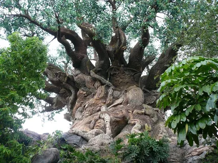 古榕树,古榕,树,古槐,雪树银花,生命之树动物王国 古榕树,古榕,树,古槐,雪树银花,生命之树动物王国