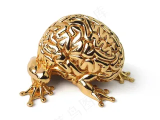 龙纹矢量图,工艺品,金背蟾蜍,凤纹,法国号,Emilio Garcia的24k跳脑