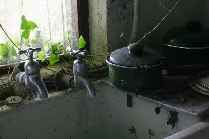 容器,盆栽植物,厨房,水壶,摩托车,常春藤