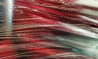 床单,线缆,镭射纸,瓶子,包装袋/盒,洗车