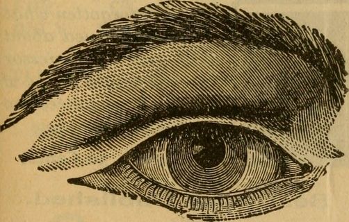 图片来自“官方红皮书；圣路易斯官方城市指南以及酒店，餐厅和带家具房间的目录”的第112页（1903年）