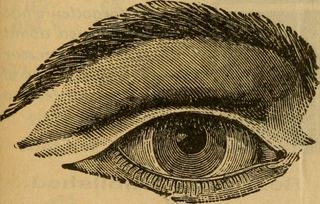 图片来自“官方红皮书；圣路易斯官方城市指南以及酒店，餐厅和带家具房间的目录”的第112页（1903年）