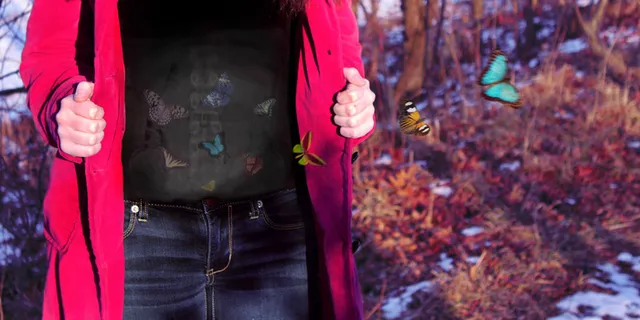 蝴蝶在她的肚子里