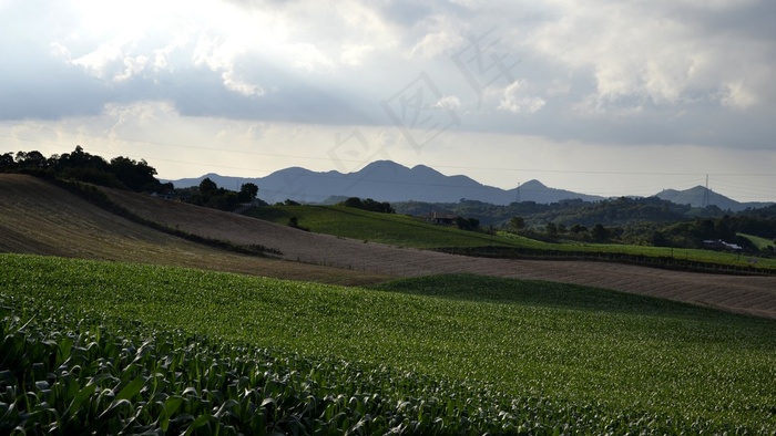 草原,茶地,龙脊梯田,山峦,田园,Curvas verdes e azuis