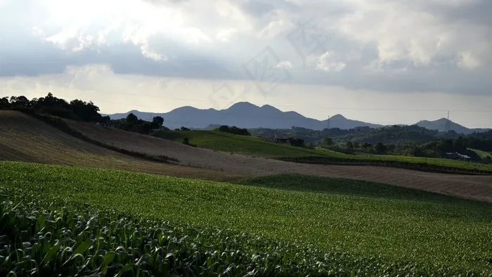 草原,茶地,龙脊梯田,山峦,田园,Curvas verdes e azuis