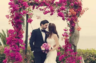 婚纱写真,花墙,兴安杜鹃,三角梅,薰衣草,在婚礼装饰中使用兰花的10种方法