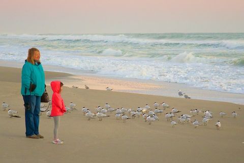 2015年2月14日，星期六-日出观察员，05