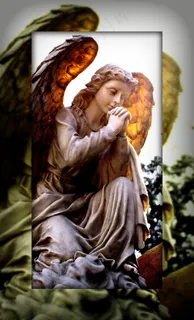 另一个天使的照片 另一个天使的照片