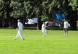 足球运动,滑草,草地滚球,板球棒,草原,蟋蟀