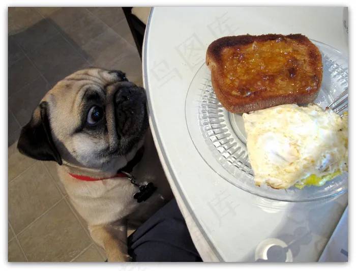 “嗯。。。。烧焦的面包和橘子果酱！当然，我要一些。”