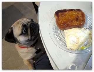 “嗯。。。。烧焦的面包和橘子果酱！当然，我要一些。”