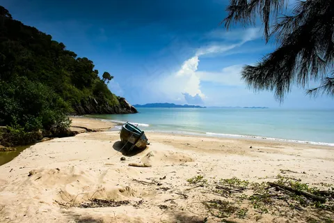 海洋,树,风景,椰子树,天空,泰国海滩兰达岛 海洋,树,风景,椰子树,天空,泰国海滩兰达岛
