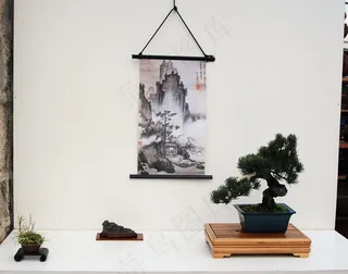 托科诺玛19-12-2010