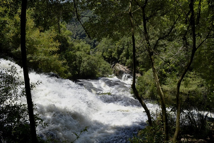 树,瀑布,江河,山峦,峡谷,下坡