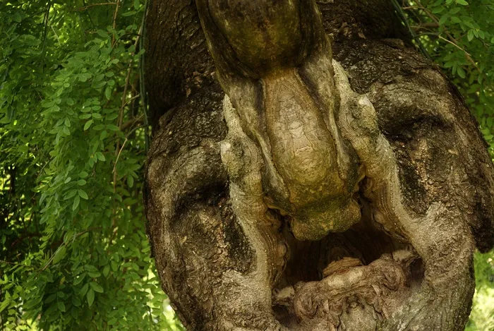 ...瓜达切蒂希卡乔！！！