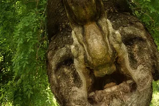 ...瓜达切蒂希卡乔！！！