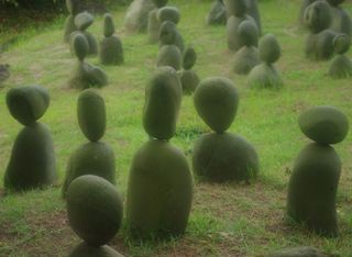 木瓜树,芒果树,芒果,木瓜,海南芒果,不露面