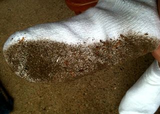 排污舞后，右脚