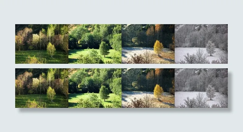 树,油画,风景,峡谷,四个季节（最佳影片）