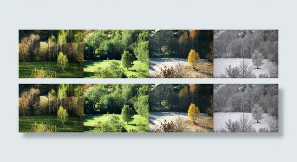 树,油画,风景,峡谷,四个季节（最佳影片）