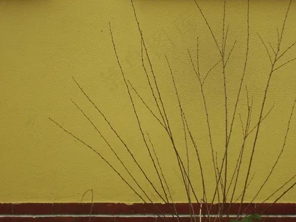 金泊纸,天空,工笔画,新年快乐