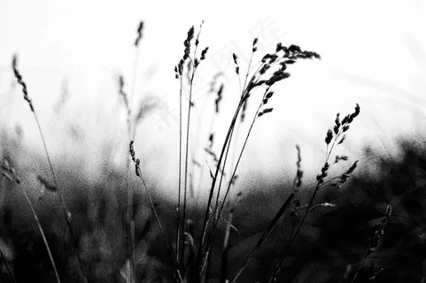 将我拉入您的完美圈子