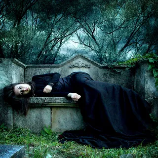 哺乳动物,,树,古榕,在生与死之间