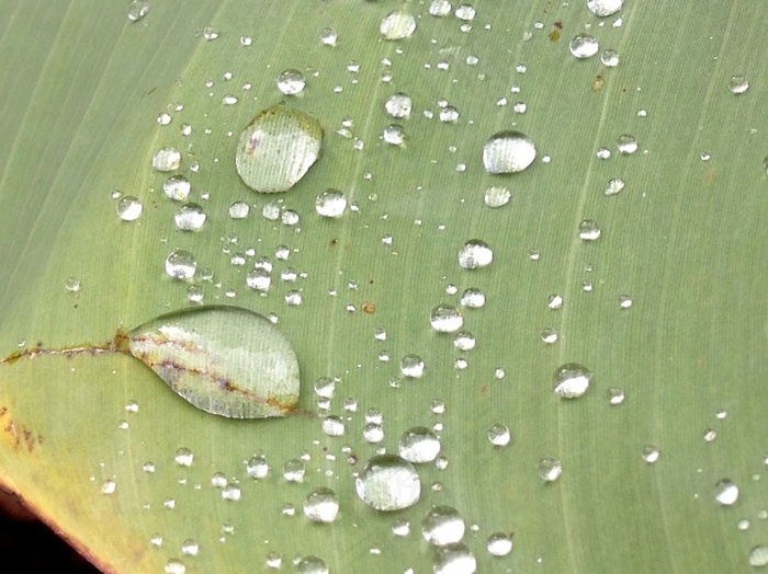恶霸滴