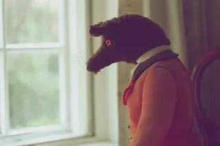 窗户,门,黑猫,柜子,孟买猫,沉思的